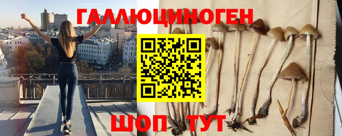 Экстази  Вейп ТГК  КОКАИН  Меф МЯУ МЯУ   МЕТ  Канабис  Тверь  Купить закладку  Гашиш  Вход с VPN 