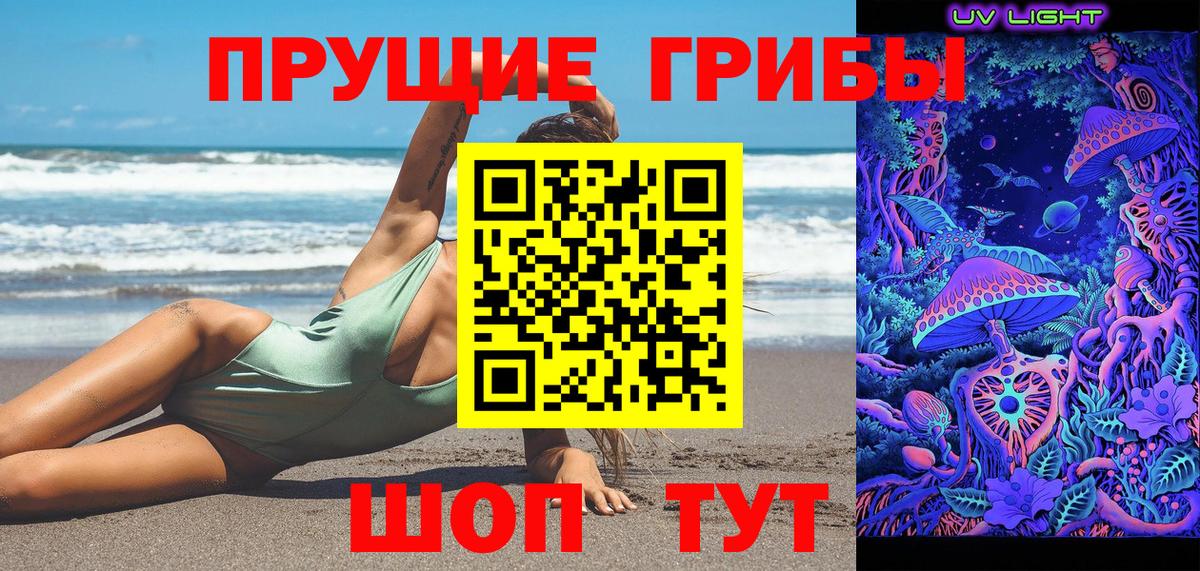 Псилоцибиновые грибы Magic Shrooms  Псилоцибиновые грибы GOLDEN TEACHER  Вход с VPN  Тверь 
